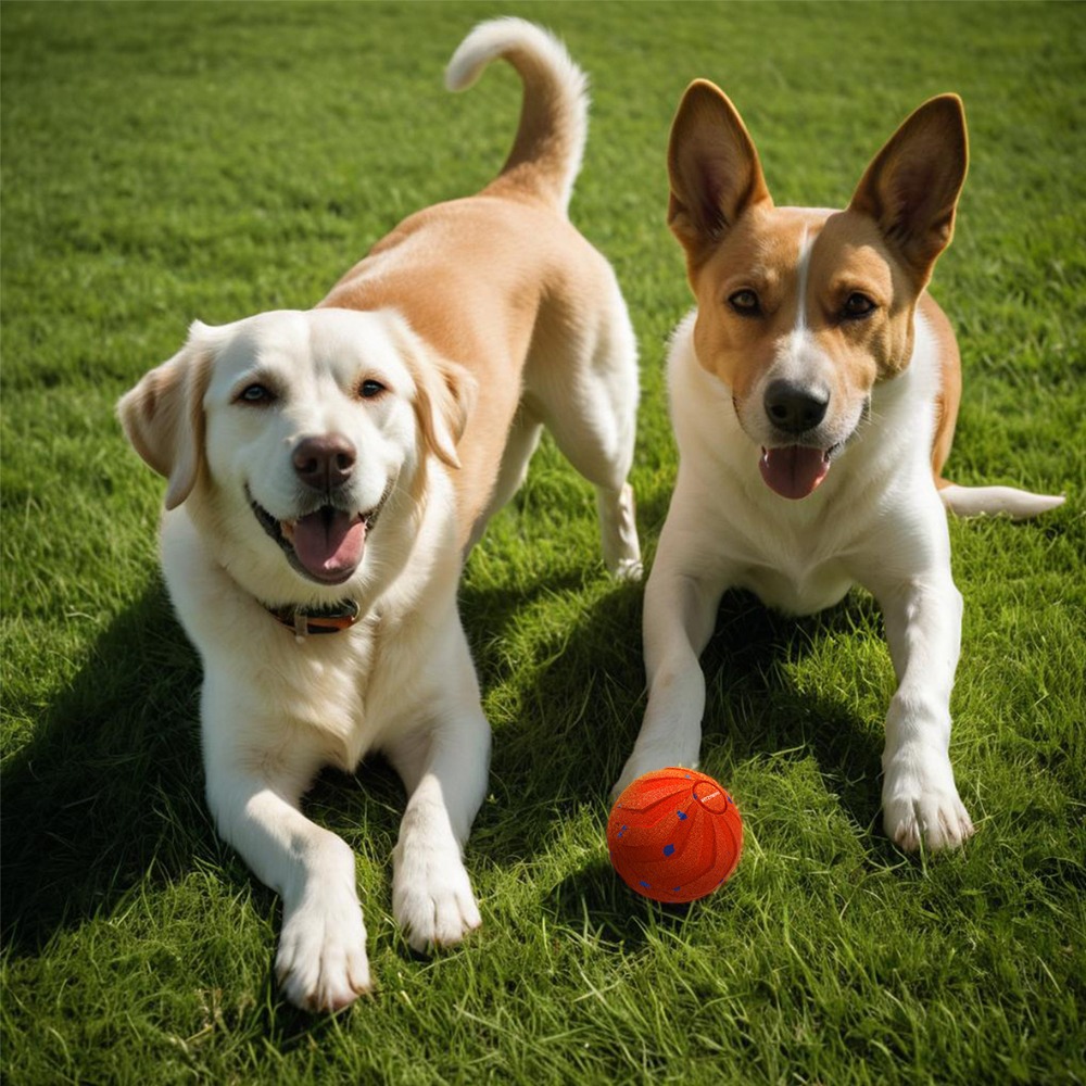 Automatic Moving Dog Ball - Isırmaya Dayanıklı, Akıllı Köpek Topu, Aşınmaya