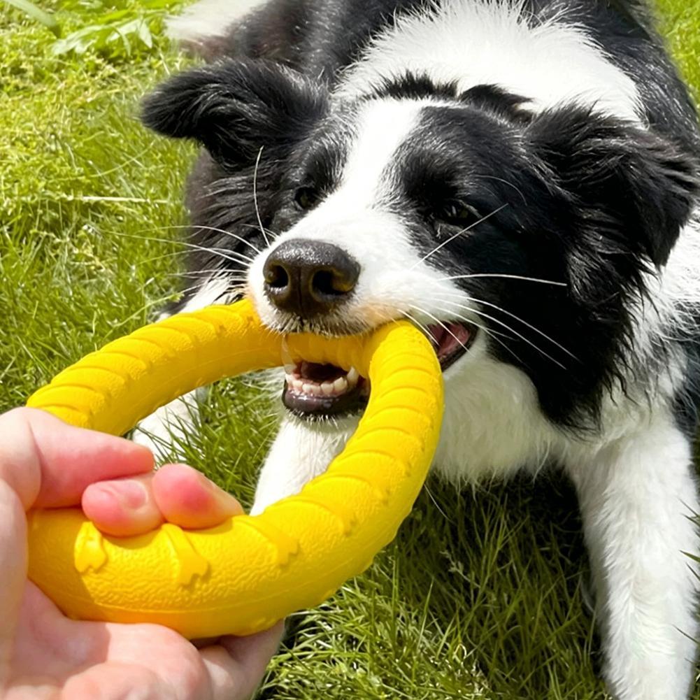 Indestructible Dog Chew Toy - Köpek Oyuncakları: Kırılmaz, Çiğnenebilir, Uçan, Yüzen,