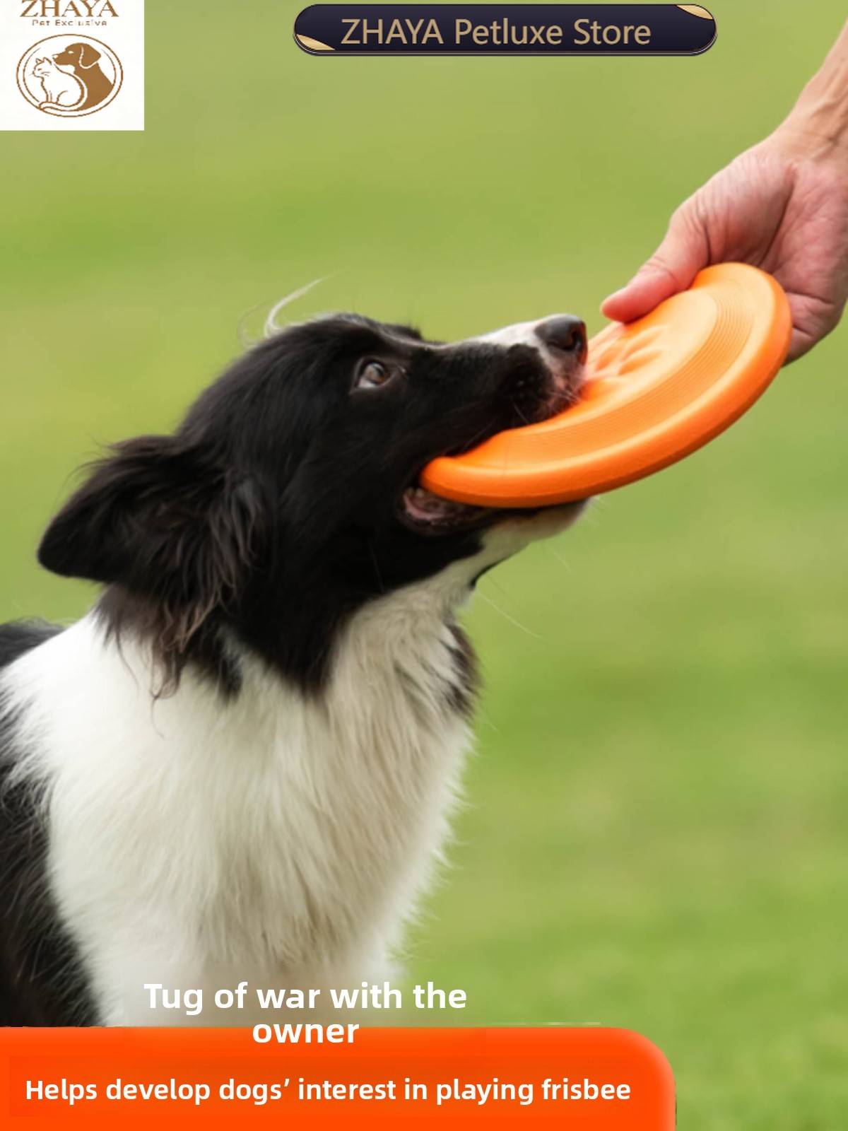 Flying Disc Dog Training Toy - Köpek Uçan Diski Yumuşak Dayanıklı Isırmaya