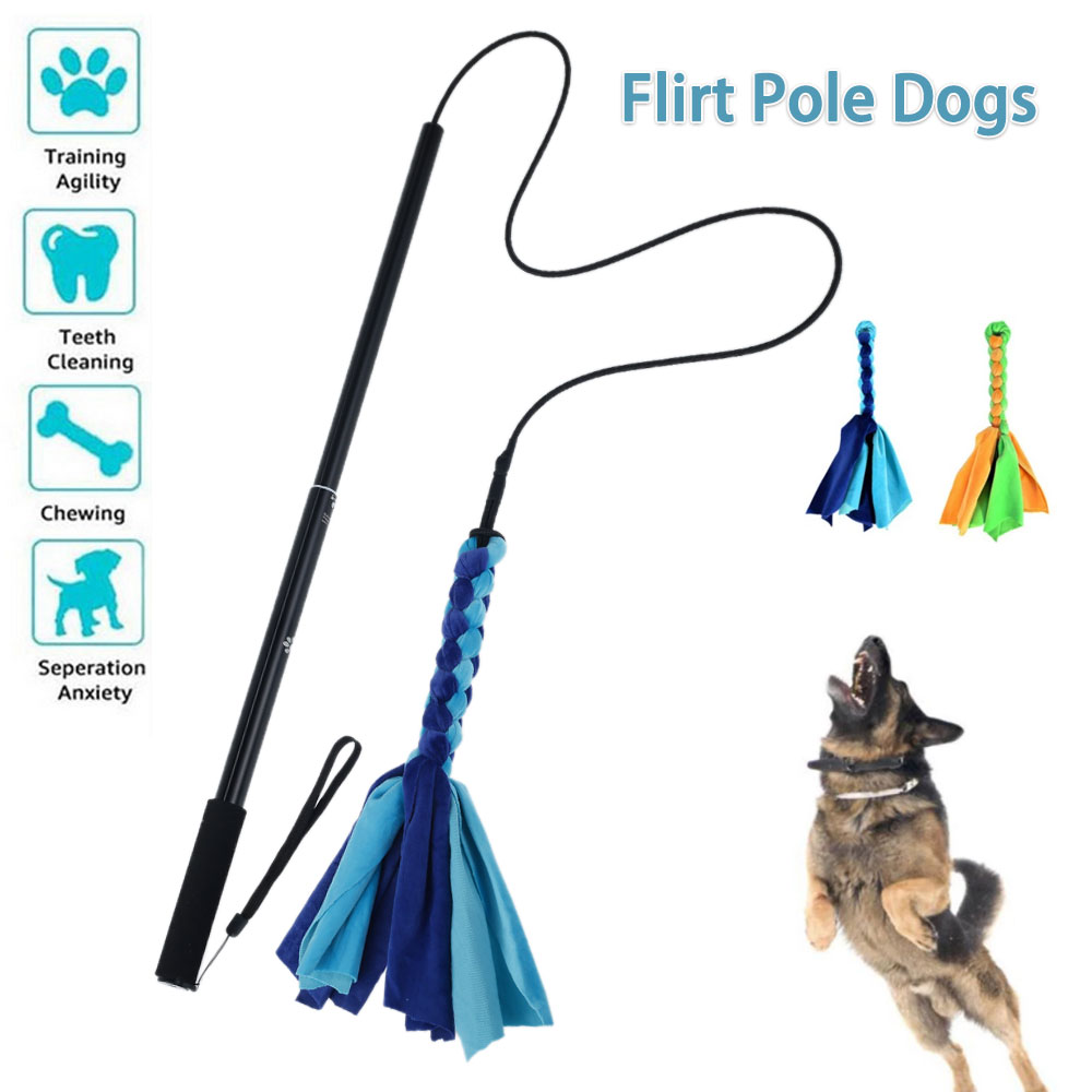 Interactive Squeaky Plush Dog Toy - Köpekler Flört Cazibesi Kutup Sopa Oyuncaklar