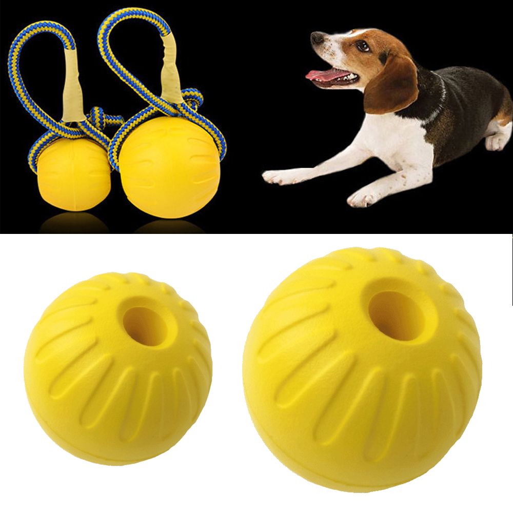 Köpekler İçin İnteraktif, Daya - Indestructible Dog Chew Toy incelemesi ve fiyatı