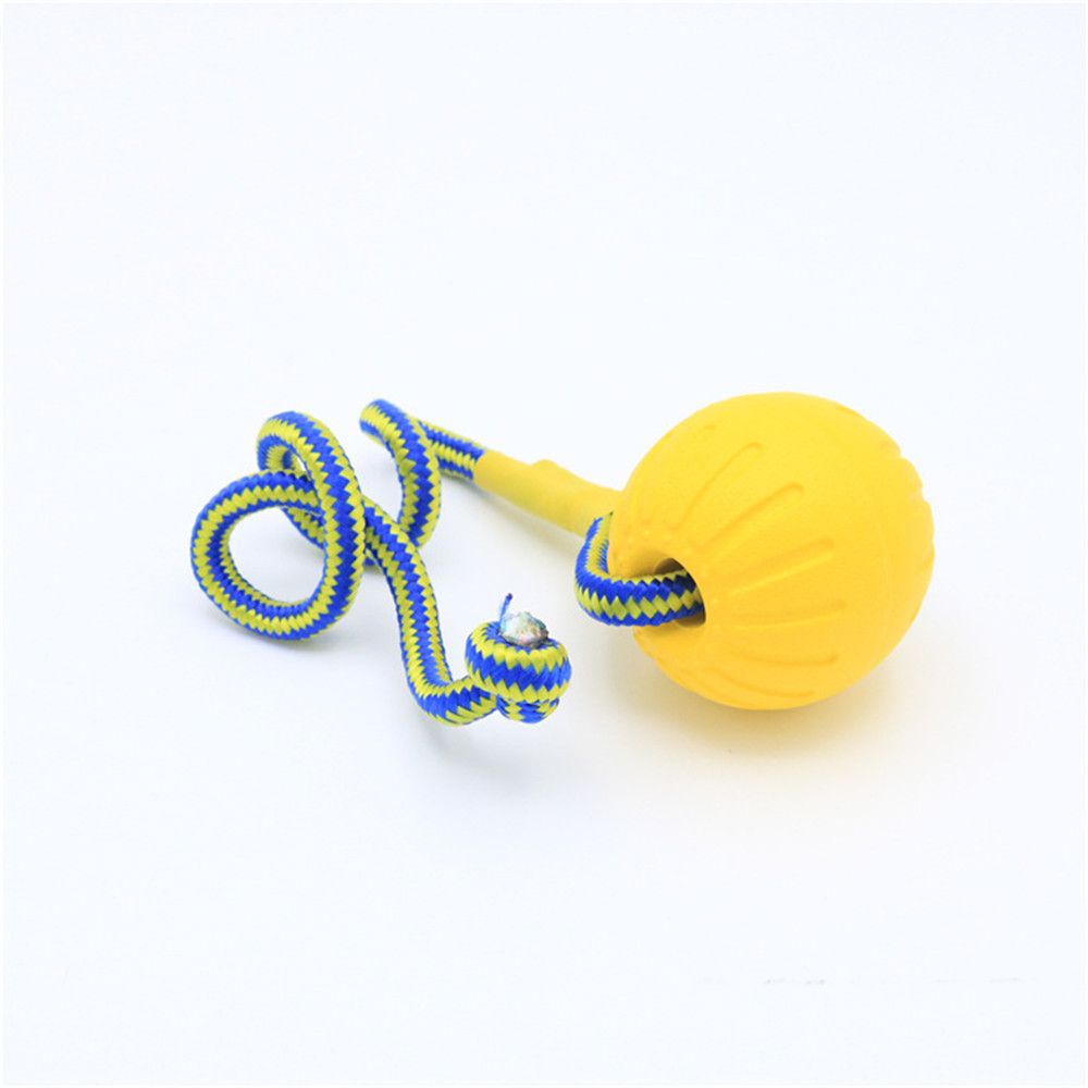 Köpekler İçin İnteraktif, Daya - Indestructible Dog Chew Toy incelemesi ve fiyatı
