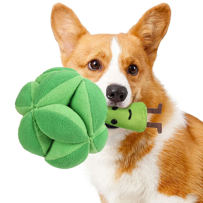 Snuffle Broccoli Köpek Bulmaca - Dog Puzzle Feeder Toy incelemesi ve fiyatı