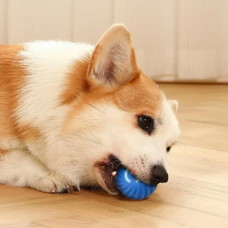 SS Evcil Hayvan Oyuncak Topu,  - Automatic Moving Dog Ball incelemesi ve fiyatı