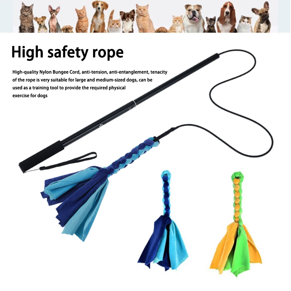 Köpekler Flört Cazibesi Kutup  - Interactive Squeaky Plush Dog Toy incelemesi ve fiyatı