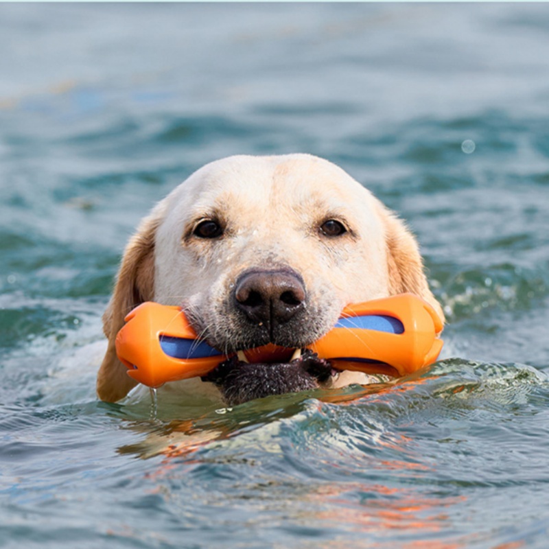 Köpekler İçin Yüzen, Dayanıklı - Indestructible Dog Chew Toy incelemesi ve fiyatı