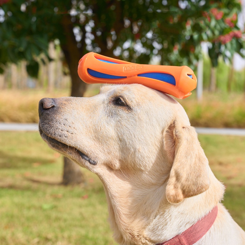 Köpekler İçin Yüzen, Dayanıklı - Indestructible Dog Chew Toy incelemesi ve fiyatı